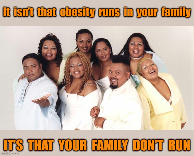 Fat family | It  isn’t  that  obesity  runs  in  your  family; IT’S  THAT  YOUR  FAMILY  DON’T  RUN | image tagged in fat family,obesity,not run in family,family do not,run | made w/ Imgflip meme maker