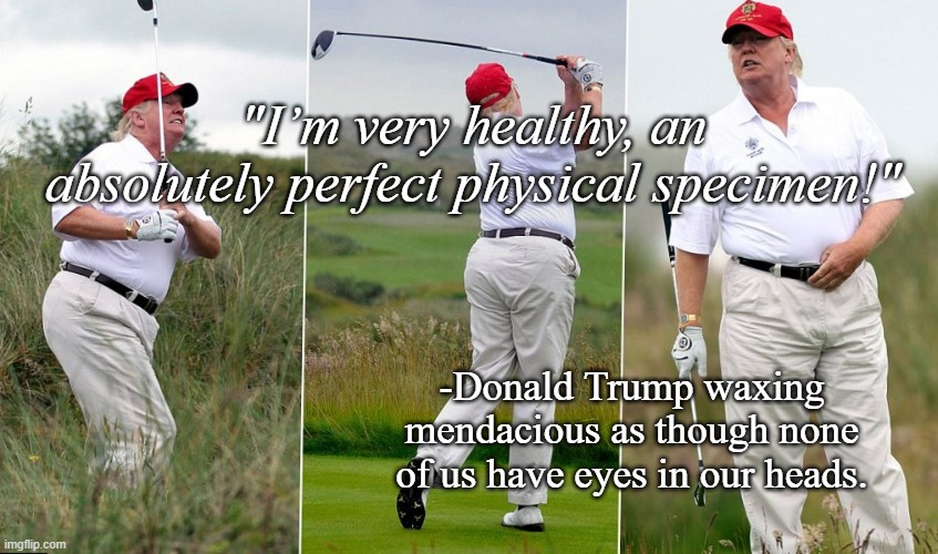 Trump Golf - Girth Certificate | "I’m very healthy, an absolutely perfect physical specimen!"; -Donald Trump waxing mendacious as though none of us have eyes in our heads. | image tagged in trump golf - girth certificate | made w/ Imgflip meme maker