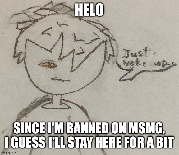 oc | HELO; SINCE I'M BANNED ON MSMG, I GUESS I'LL STAY HERE FOR A BIT | image tagged in oc | made w/ Imgflip meme maker
