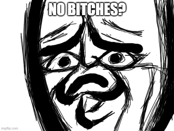 wtf have I just drawn... | NO BITCHES? | image tagged in blank white template | made w/ Imgflip meme maker