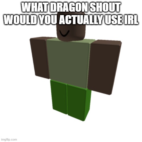 Roblox oc | WHAT DRAGON SHOUT WOULD YOU ACTUALLY USE IRL | image tagged in roblox oc | made w/ Imgflip meme maker