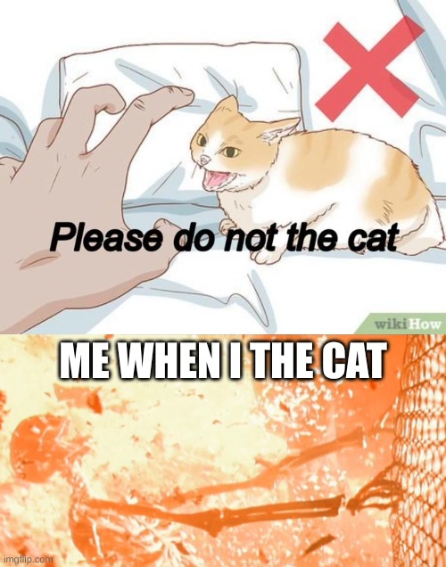 ME WHEN I THE CAT | image tagged in burning skelton fence | made w/ Imgflip meme maker