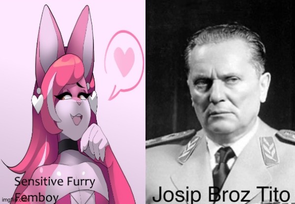 Disclaimer, as some idiots will take this seriously: this is a joke, i am not a femboy (updated i am now) | image tagged in i have two sides | made w/ Imgflip meme maker