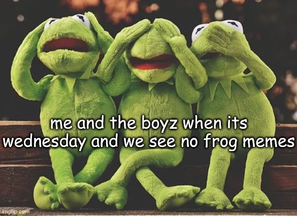 3 kermits | me and the boyz when its wednesday and we see no frog memes | image tagged in 3 kermits | made w/ Imgflip meme maker