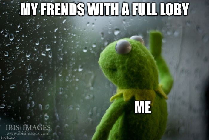 kermit window | MY FRENDS WITH A FULL LOBY; ME | image tagged in kermit window | made w/ Imgflip meme maker