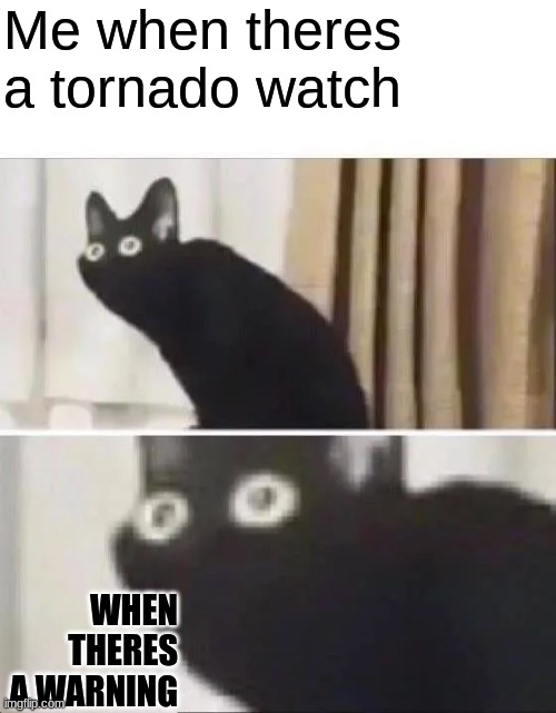Oh No Black Cat | Me when theres a tornado watch; WHEN THERES A WARNING | image tagged in oh no black cat | made w/ Imgflip meme maker