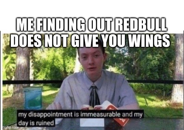 tragedy |  ME FINDING OUT REDBULL DOES NOT GIVE YOU WINGS | image tagged in my dissapointment is immeasurable and my day is ruined | made w/ Imgflip meme maker