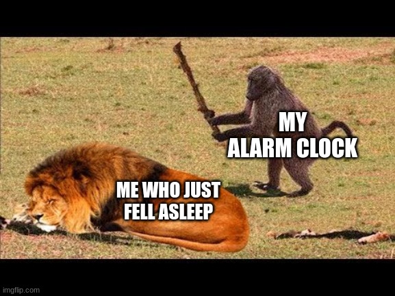 monkey hit lion tree | MY ALARM CLOCK; ME WHO JUST FELL ASLEEP | image tagged in monkey hit lion tree | made w/ Imgflip meme maker