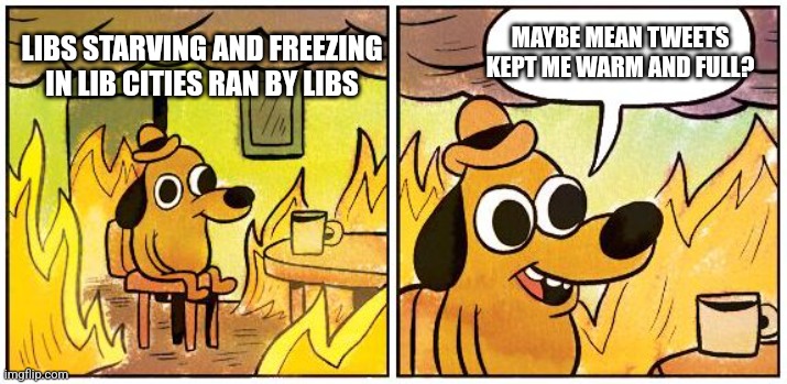 The Attitude is going to be a little different come spring | MAYBE MEAN TWEETS KEPT ME WARM AND FULL? LIBS STARVING AND FREEZING IN LIB CITIES RAN BY LIBS | image tagged in this is fine blank | made w/ Imgflip meme maker
