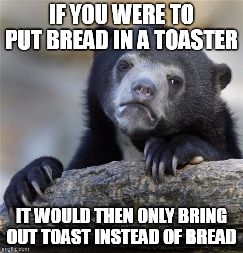 Confession Bear Meme | IF YOU WERE TO PUT BREAD IN A TOASTER; IT WOULD THEN ONLY BRING OUT TOAST INSTEAD OF BREAD | image tagged in memes,confession bear | made w/ Imgflip meme maker