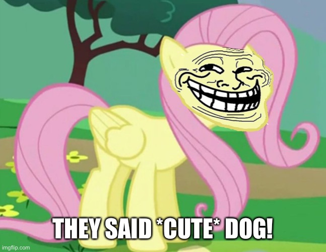 Fluttertroll | THEY SAID *CUTE* DOG! | image tagged in fluttertroll | made w/ Imgflip meme maker