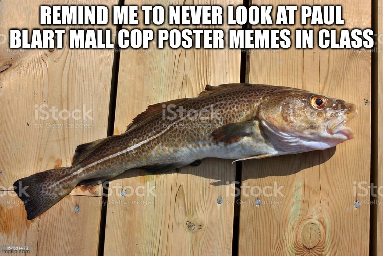 cod stock photo | REMIND ME TO NEVER LOOK AT PAUL BLART MALL COP POSTER MEMES IN CLASS | image tagged in cod stock photo | made w/ Imgflip meme maker