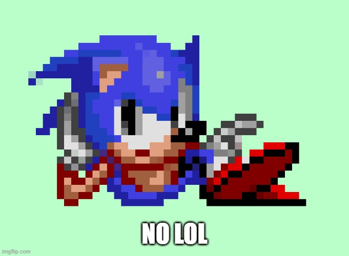 Sonic waiting | NO LOL | image tagged in sonic waiting | made w/ Imgflip meme maker