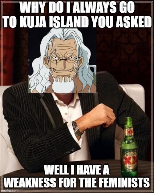 Rayleigh's love interest | WHY DO I ALWAYS GO TO KUJA ISLAND YOU ASKED; WELL I HAVE A WEAKNESS FOR THE FEMINISTS | image tagged in memes,the most interesting man in the world,one peice memes,anime memes | made w/ Imgflip meme maker