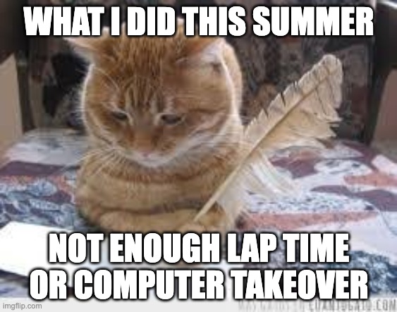writer cat | WHAT I DID THIS SUMMER; NOT ENOUGH LAP TIME OR COMPUTER TAKEOVER | image tagged in writer cat | made w/ Imgflip meme maker