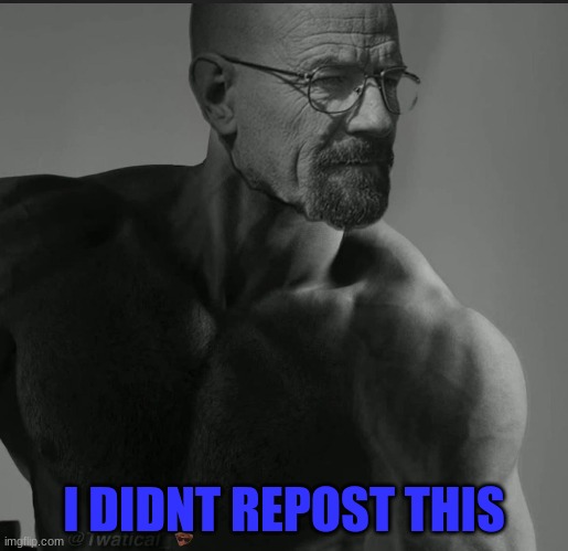 I DIDNT REPOST THIS | made w/ Imgflip meme maker