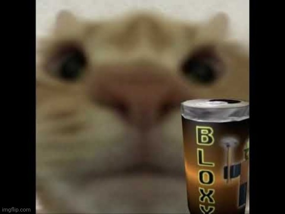 Bloxy | made w/ Imgflip meme maker