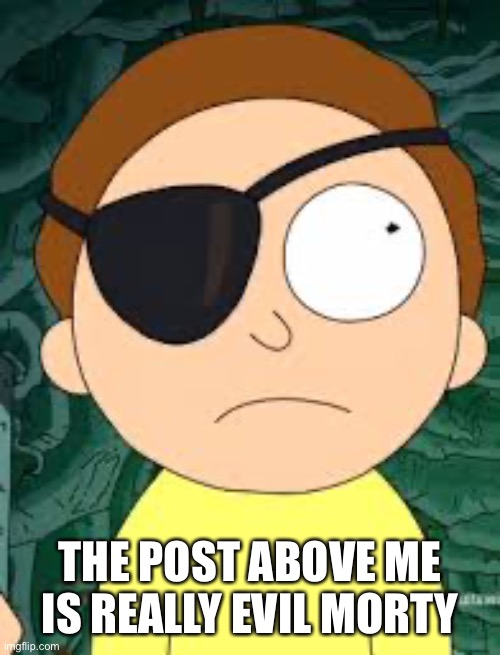 Evil Morty | THE POST ABOVE ME IS REALLY EVIL MORTY | image tagged in evil morty | made w/ Imgflip meme maker