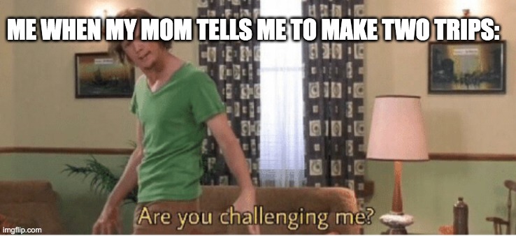 are you challenging me | ME WHEN MY MOM TELLS ME TO MAKE TWO TRIPS: | image tagged in are you challenging me | made w/ Imgflip meme maker