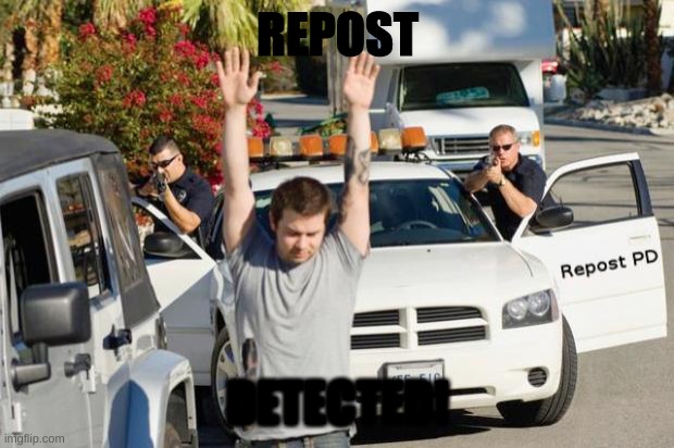 Repost Police | REPOST DETECTED! | image tagged in repost police | made w/ Imgflip meme maker