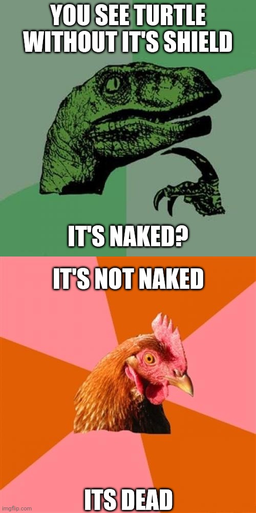YOU SEE TURTLE WITHOUT IT'S SHIELD; IT'S NAKED? IT'S NOT NAKED; ITS DEAD | image tagged in memes,philosoraptor,anti joke chicken | made w/ Imgflip meme maker