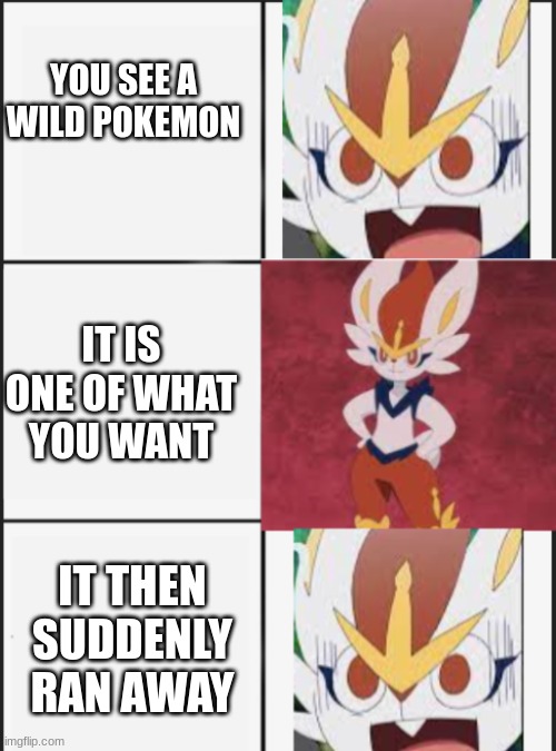 ... | YOU SEE A WILD POKEMON; IT IS ONE OF WHAT YOU WANT; IT THEN SUDDENLY RAN AWAY | image tagged in cinderace panic calm panic | made w/ Imgflip meme maker