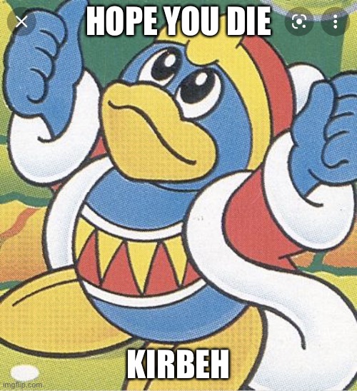 He nice | HOPE YOU DIE; KIRBEH | image tagged in king dedede thumbs up,kirby | made w/ Imgflip meme maker
