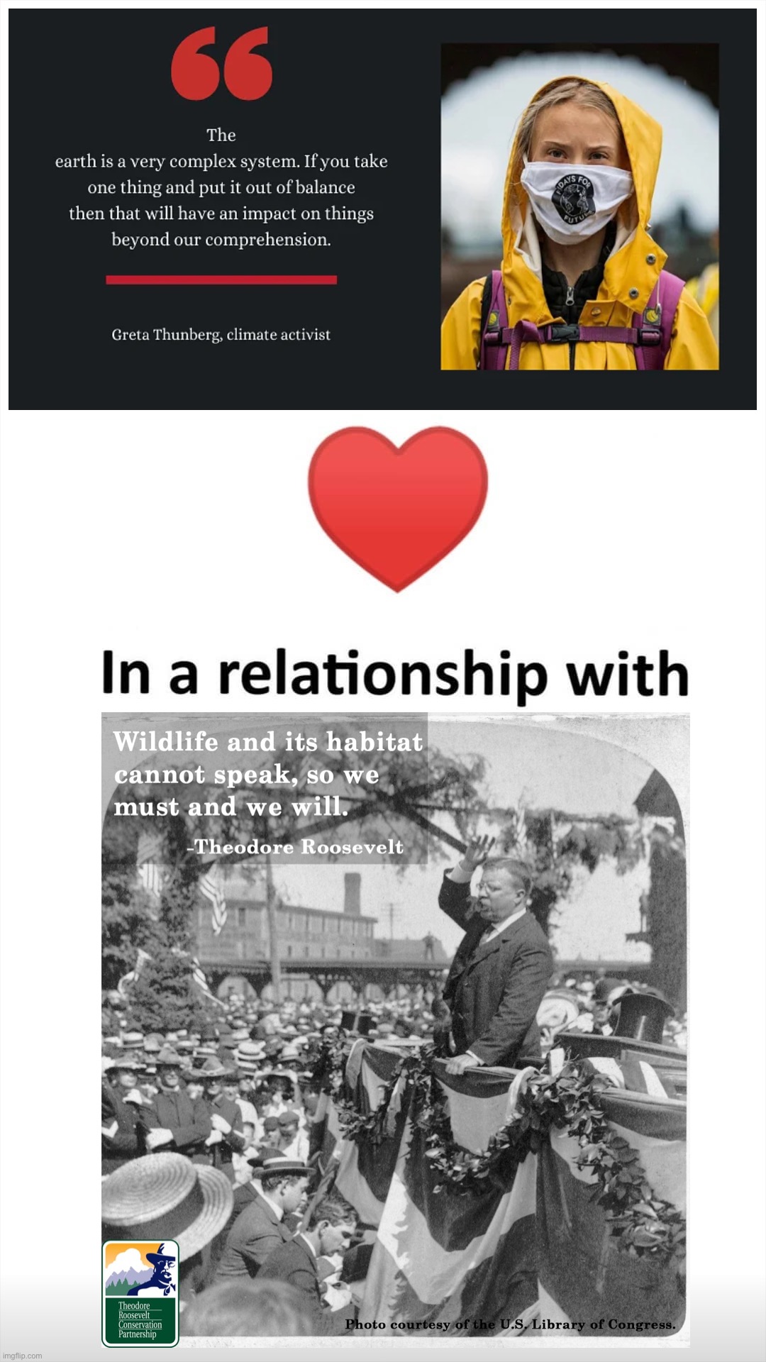 Greta X Teddy | image tagged in in a relationship with,greta,teddy roosevelt,environment,environmental,shipping | made w/ Imgflip meme maker