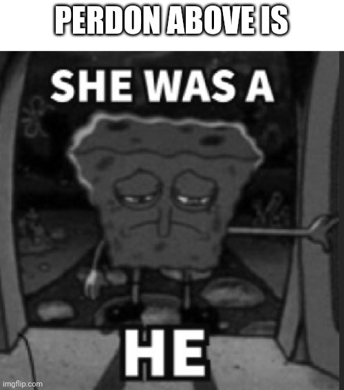 She was a he | PERSON ABOVE IS | image tagged in she was a he | made w/ Imgflip meme maker