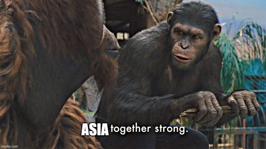 Ape together strong | ASIA | image tagged in ape together strong | made w/ Imgflip meme maker
