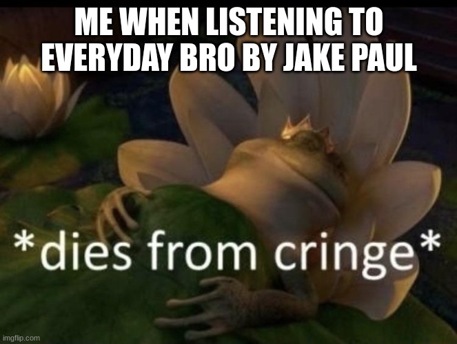 Dies from cringe | ME WHEN LISTENING TO EVERYDAY BRO BY JAKE PAUL | image tagged in dies from cringe | made w/ Imgflip meme maker