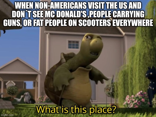 reality | WHEN NON-AMERICANS VISIT THE US AND DON´T SEE MC DONALD'S ,PEOPLE CARRYING GUNS, OR FAT PEOPLE ON SCOOTERS EVERYWHERE | image tagged in what is this place | made w/ Imgflip meme maker