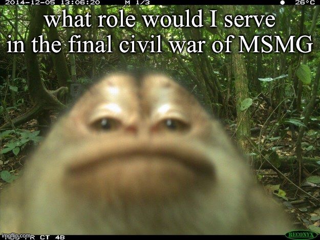 monki | what role would I serve in the final civil war of MSMG | image tagged in monki | made w/ Imgflip meme maker