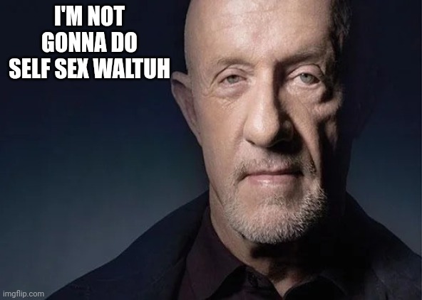 mike ehrmantraut | I'M NOT GONNA DO SELF SEX WALTUH | image tagged in mike ehrmantraut | made w/ Imgflip meme maker