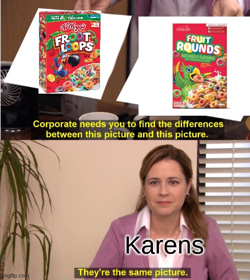 They're The Same Picture | Karens | image tagged in memes,they're the same picture | made w/ Imgflip meme maker