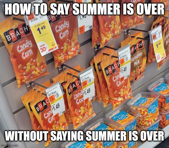 Not officially but |  HOW TO SAY SUMMER IS OVER; WITHOUT SAYING SUMMER IS OVER | image tagged in summer,summer vacation,halloween is coming | made w/ Imgflip meme maker