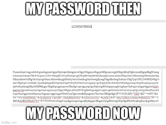 *inserts creative title and talks about meme being poorly made* | MY PASSWORD THEN; MY PASSWORD NOW | image tagged in blank white template | made w/ Imgflip meme maker