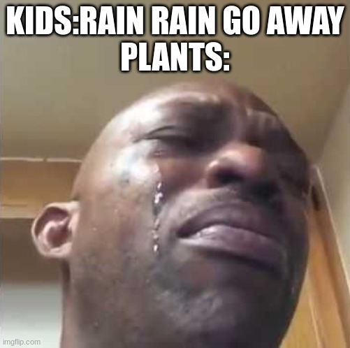 Crying guy meme | KIDS:RAIN RAIN GO AWAY
PLANTS: | image tagged in crying guy meme | made w/ Imgflip meme maker