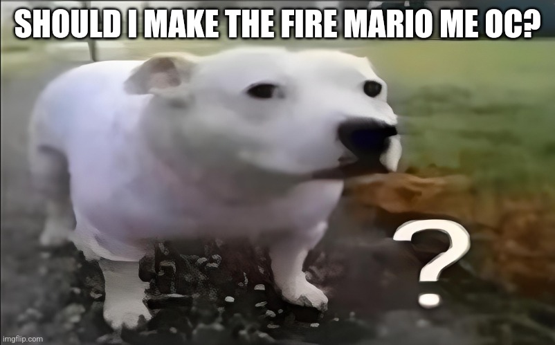 Huh Dog | SHOULD I MAKE THE FIRE MARIO ME OC? | image tagged in huh dog | made w/ Imgflip meme maker