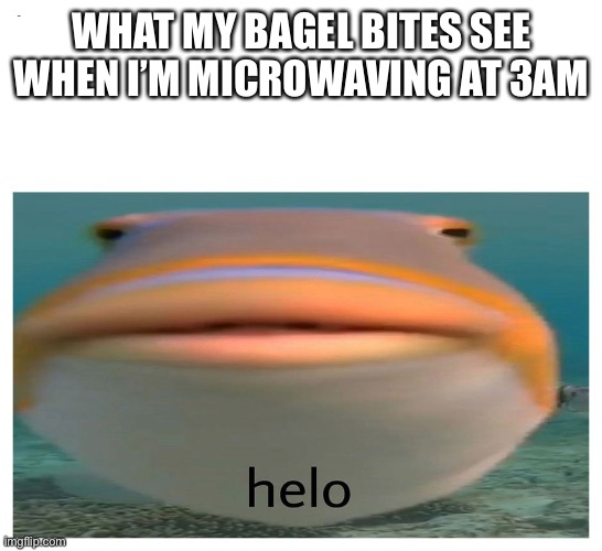 helo fish | WHAT MY BAGEL BITES SEE WHEN I’M MICROWAVING AT 3AM | image tagged in helo fish | made w/ Imgflip meme maker