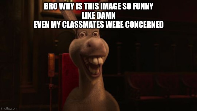Shrek Donkey | BRO WHY IS THIS IMAGE SO FUNNY
LIKE DAMN
EVEN MY CLASSMATES WERE CONCERNED | image tagged in shrek donkey | made w/ Imgflip meme maker