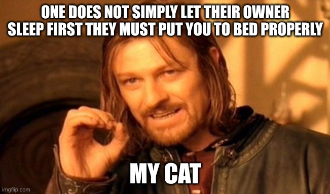One Does Not Simply Meme | ONE DOES NOT SIMPLY LET THEIR OWNER SLEEP FIRST THEY MUST PUT YOU TO BED PROPERLY; MY CAT | image tagged in memes,one does not simply | made w/ Imgflip meme maker