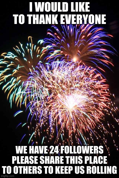 fireworks | I WOULD LIKE TO THANK EVERYONE; WE HAVE 24 FOLLOWERS PLEASE SHARE THIS PLACE TO OTHERS TO KEEP US ROLLING | image tagged in fireworks | made w/ Imgflip meme maker
