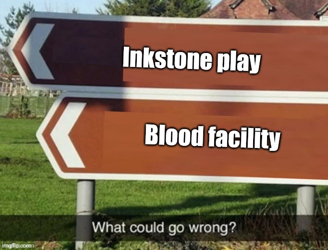 What could go wrong | Inkstone play; Blood facility | image tagged in what could go wrong | made w/ Imgflip meme maker