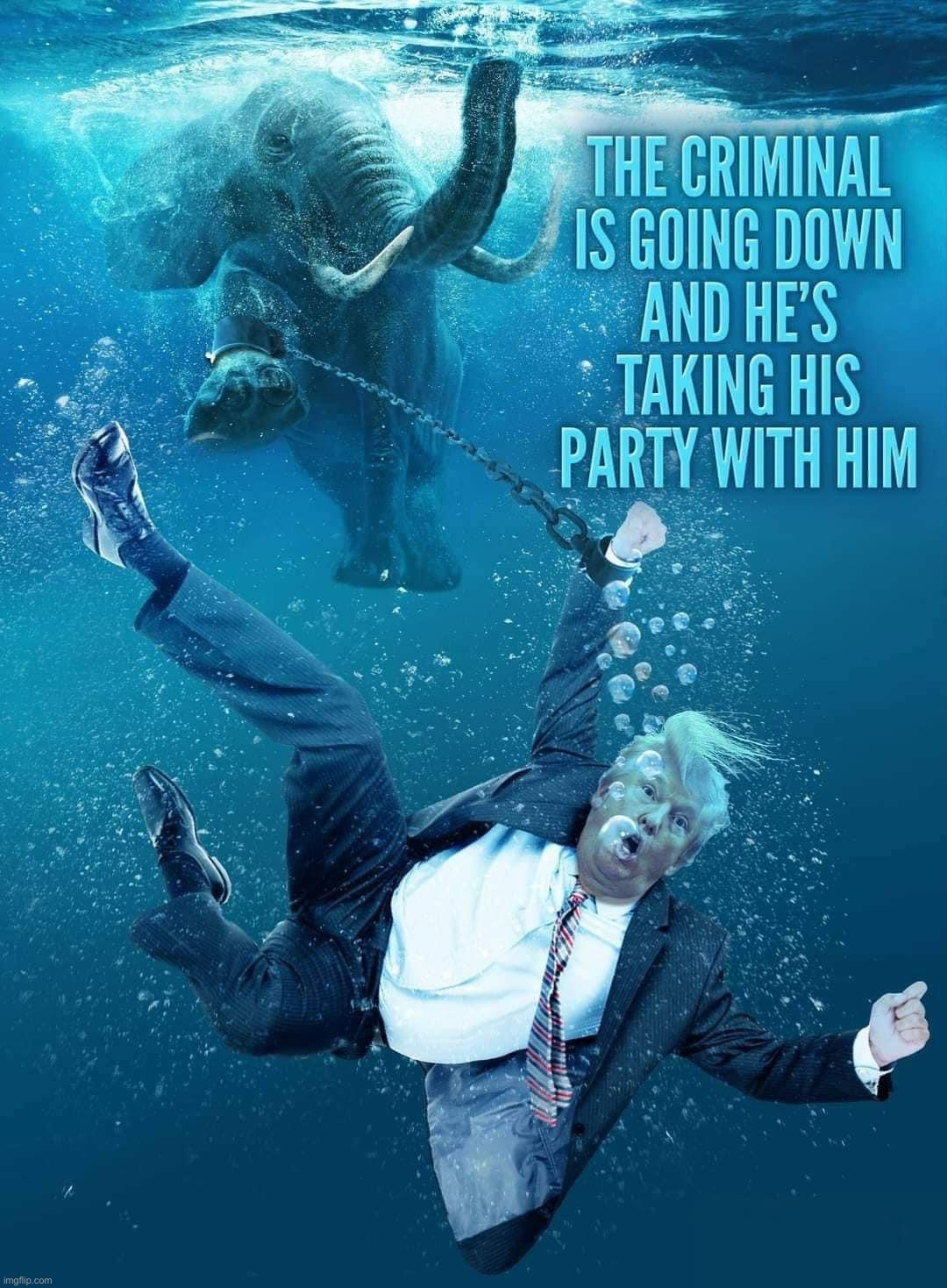 Donald Trump the criminal is going down | image tagged in donald trump the criminal is going down | made w/ Imgflip meme maker
