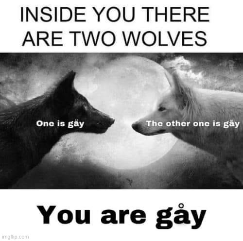 Two gay wolves | image tagged in two gay wolves | made w/ Imgflip meme maker