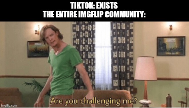 (⊙_(⊙_⊙)_⊙) | TIKTOK: EXISTS
THE ENTIRE IMGFLIP COMMUNITY: | image tagged in are you challenging me | made w/ Imgflip meme maker