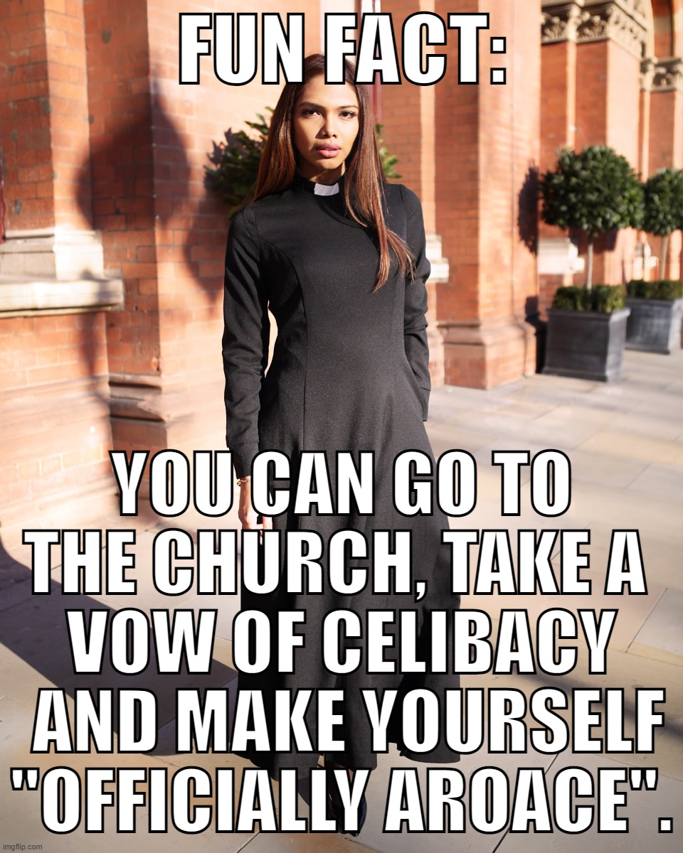 That's actually a thing, Ask your local church. xD (Religion has a LOT of loopholes xD) | FUN FACT:; YOU CAN GO TO THE CHURCH, TAKE A 
VOW OF CELIBACY
 AND MAKE YOURSELF "OFFICIALLY AROACE". | image tagged in memes,funny,ace,church,religion | made w/ Imgflip meme maker