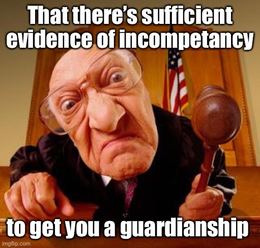 Mean Judge | That there’s sufficient evidence of incompetancy to get you a guardianship | image tagged in mean judge | made w/ Imgflip meme maker