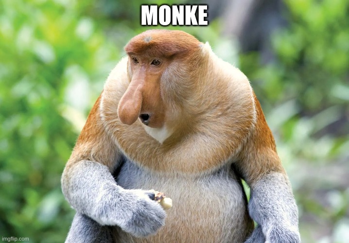 Monke | MONKE | made w/ Imgflip meme maker